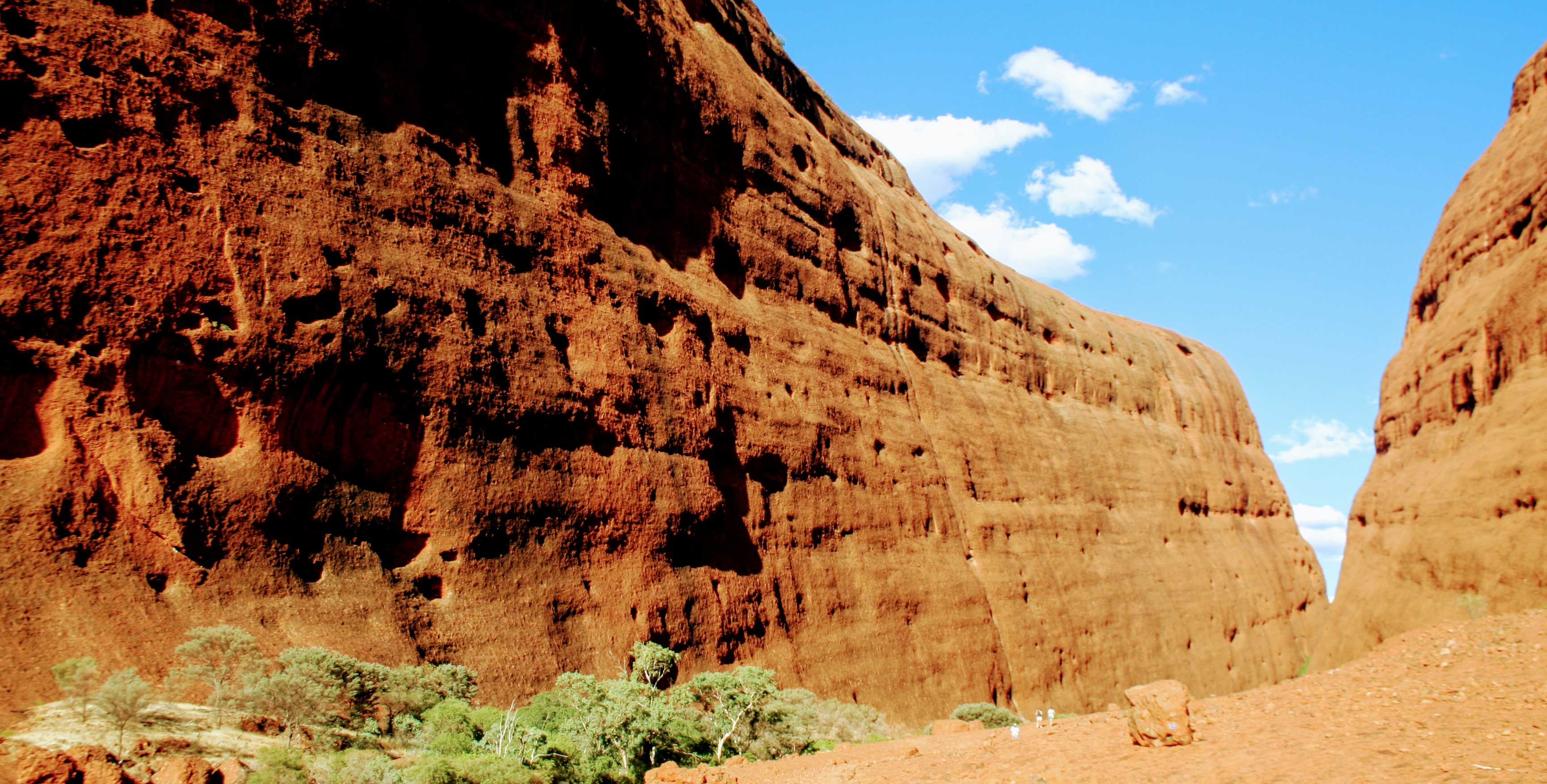 WB40 Podcast: Episode 14 – Filling the skills gap