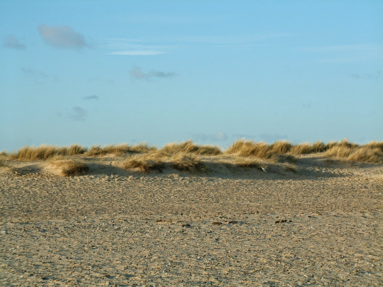 Episode 89 – Data Curiosity