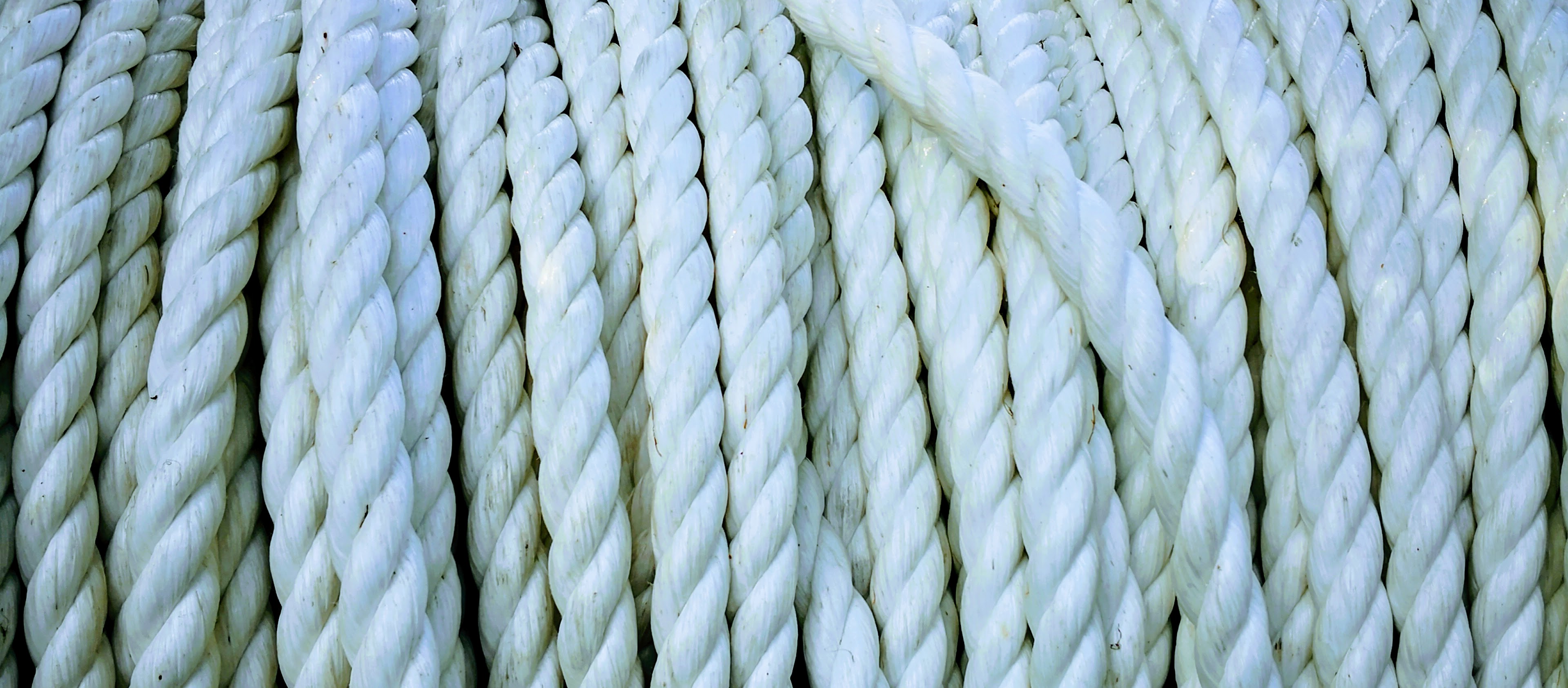 (163) The Future of Learning the Ropes