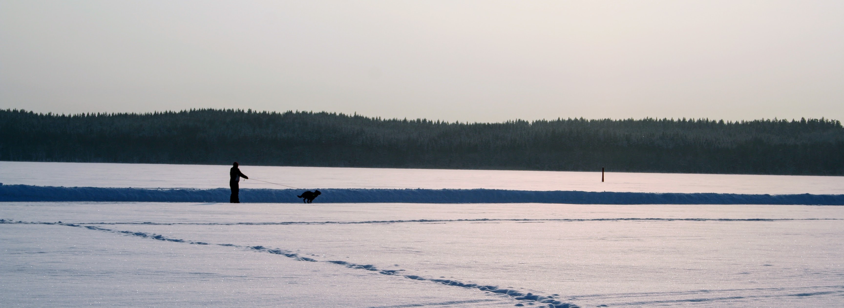 (181) The Lockdown Catalyst